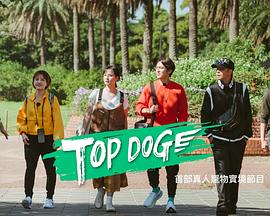 98色花堂《TOP DOG》免费在线观看